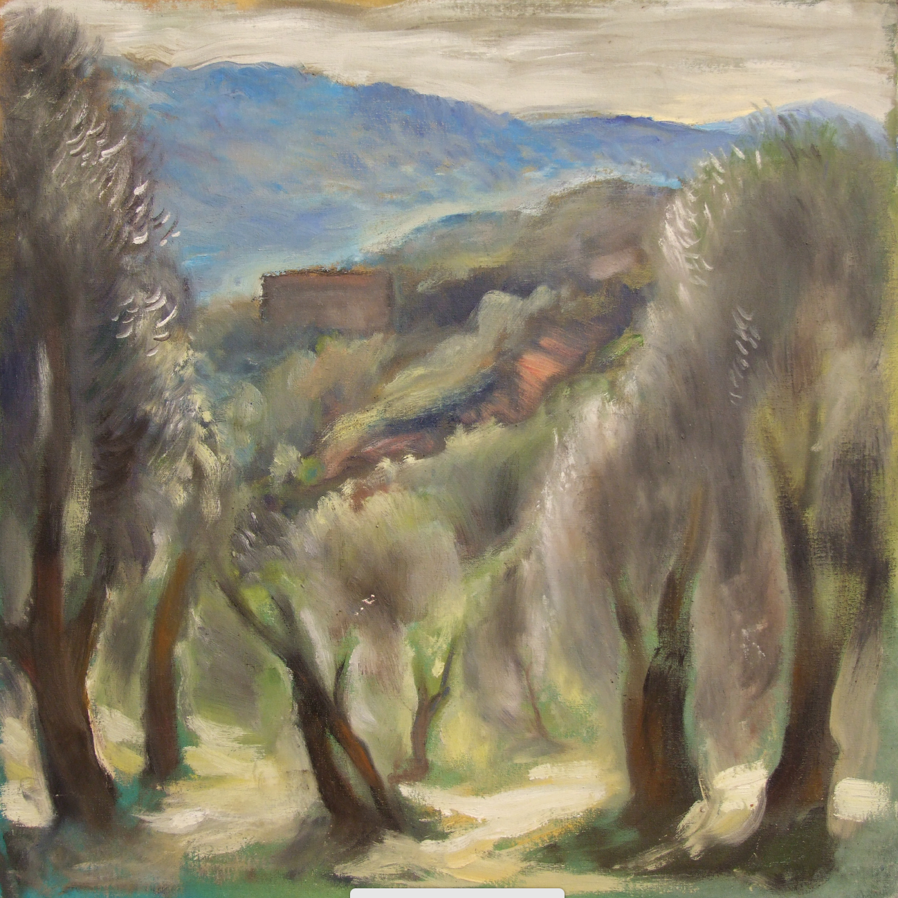 Vittorio Granchi, Gli olivi di Seggiano
