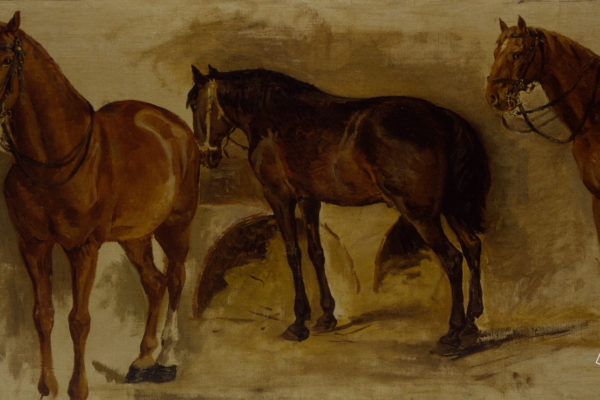 Studio di cavalli
