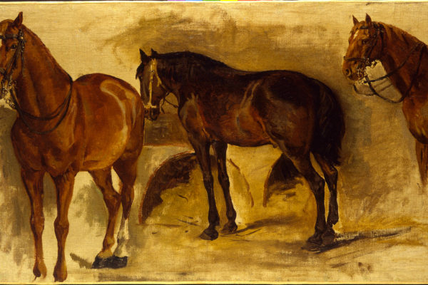Studio di cavalli - Pietro Aldi